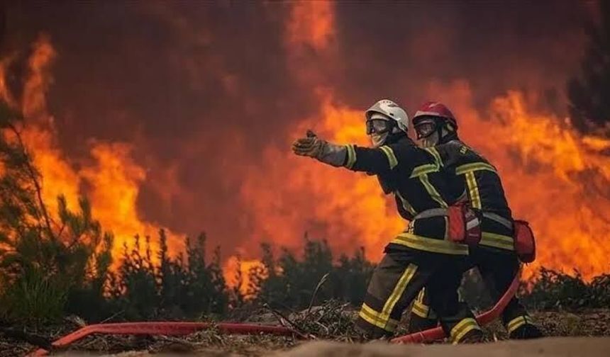 Fransa'nın Drome vilayetinde devam eden orman yangınında 115 hektarlık alan küle döndü