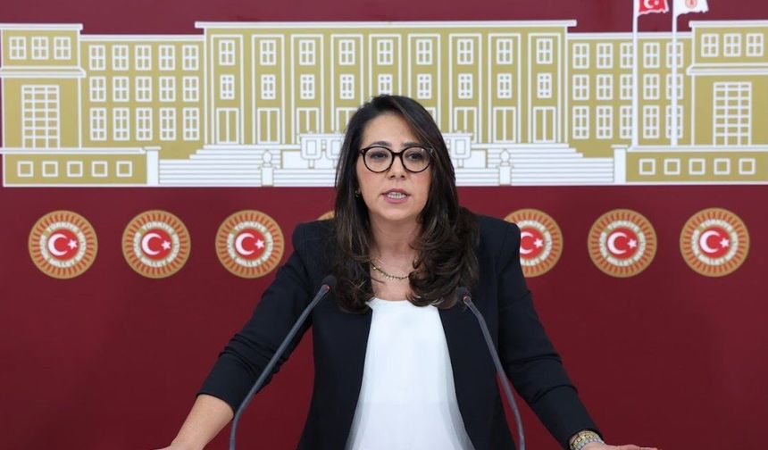 Kadıgil hakkında "Cumhurbaşkanına hakaret" ve "Tehdit" suçlarından soruşturma