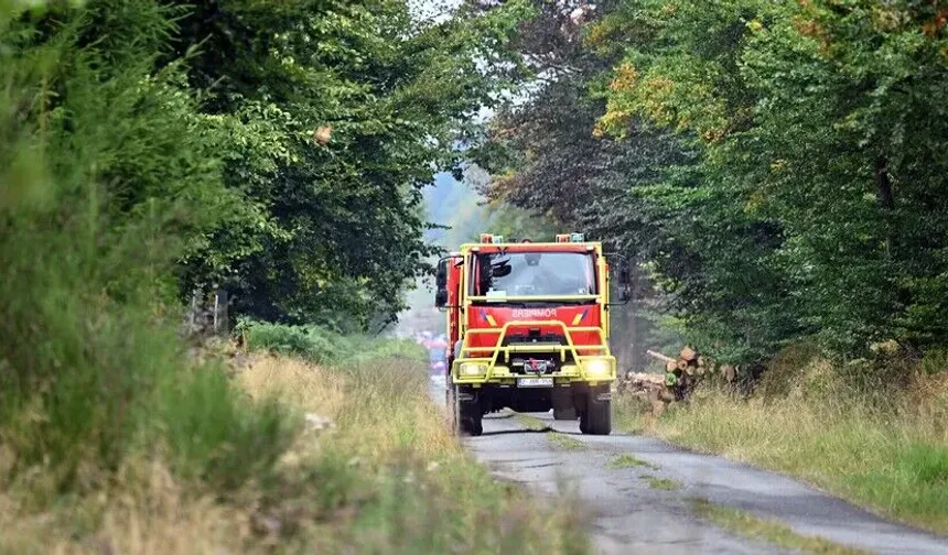 Belçika'daki büyük orman yangını nedeniyle meclis komisyonu olağanüstü toplandı