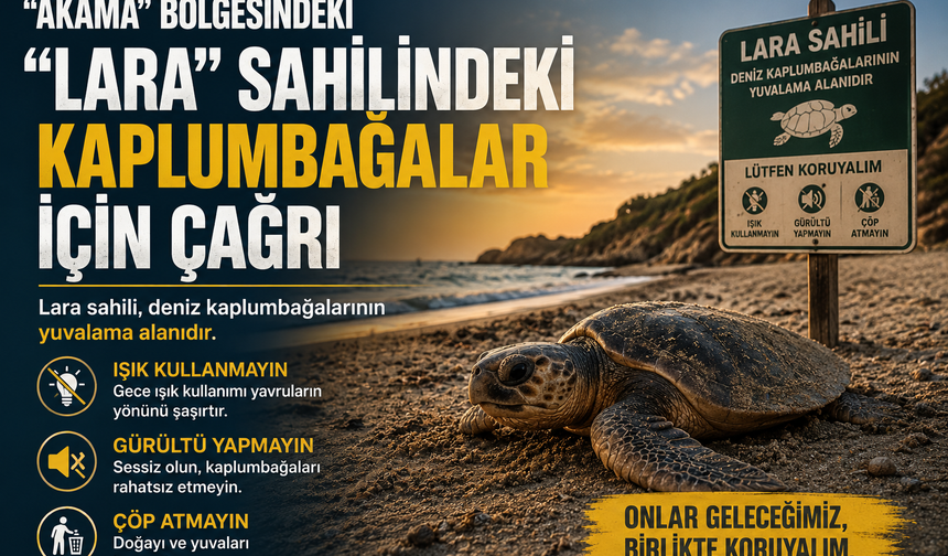 “Akama” bölgesindeki “Lara” sahilindeki kaplumbağalar için çağrı