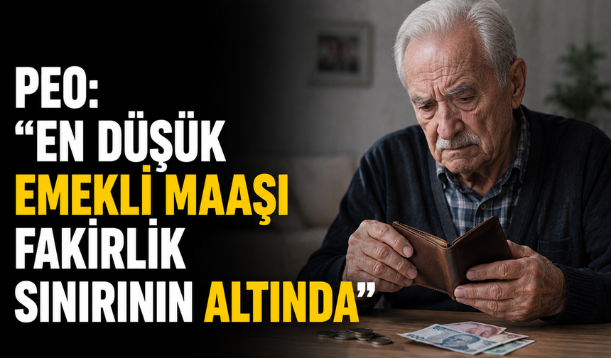 PEO:"En düşük emekli maaşı fakirlik sınırının altında