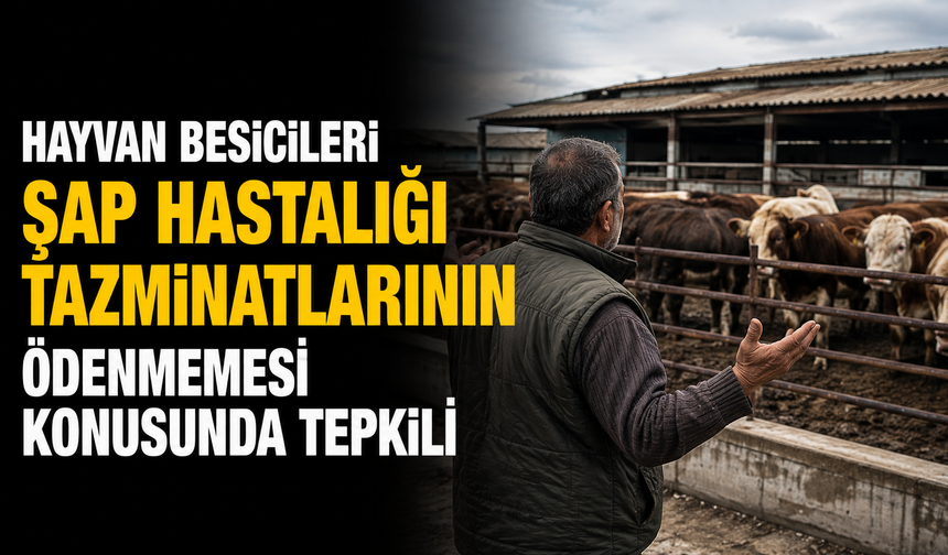 Hayvan besicileri şap hastalığı tazminatlarının ödenmemesi konusunda tepkili