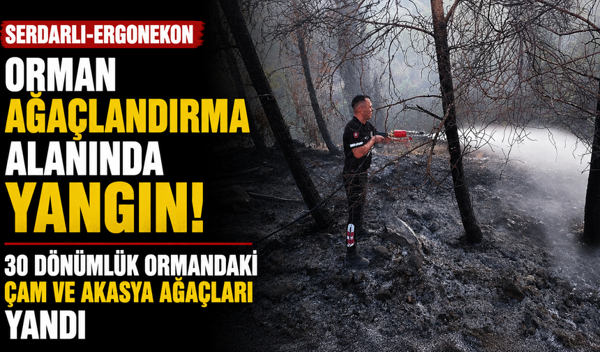 Serdarlı-Ergonekon orman ağaçlandırma alanında yangın…