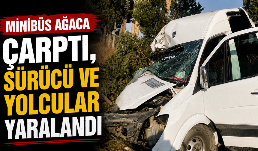 Minibüs ağaca çarptı, sürücü ve yolcular yaralandı