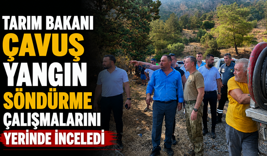 Tarım Bakanı Çavuş yangın söndürme çalışmalarını yerinde inceledi