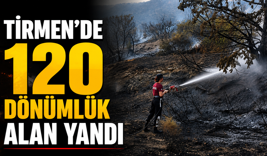 Tirmen’de 120 dönümlük alan yandı