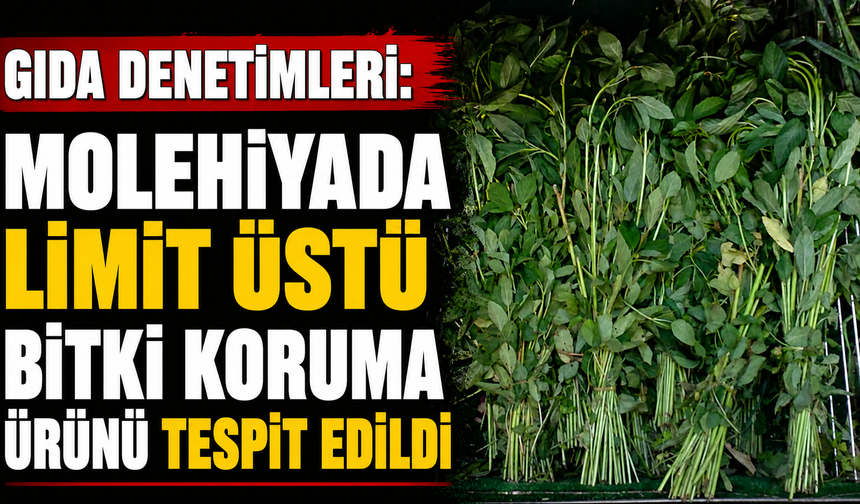 Gıda denetimleri: Molehiyada limit üstü bitki koruma ürünü tespit edildi