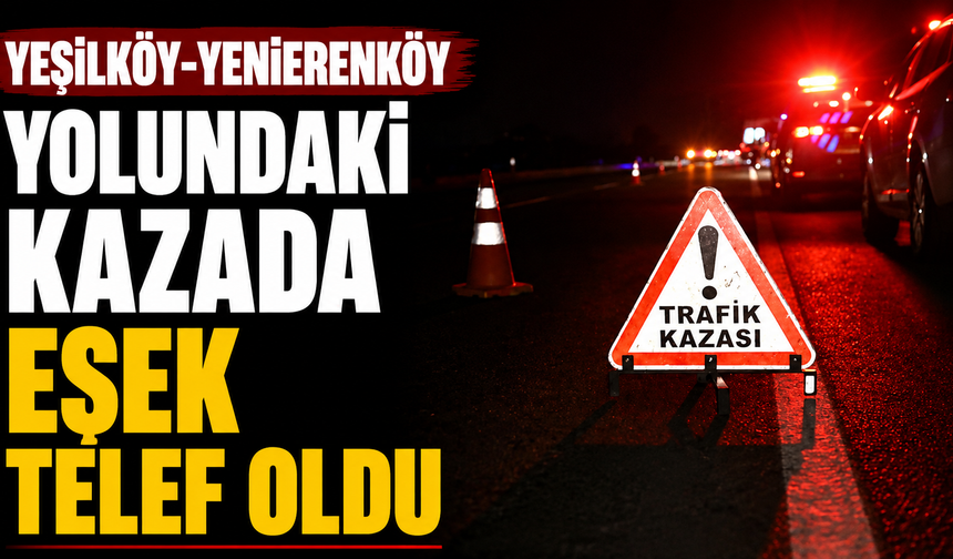 Yeşilköy-Yenierenköy yolundaki kazada eşek telef oldu