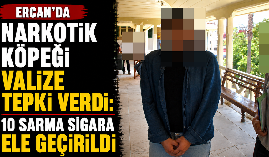 Ercan’da narkotik köpeği valize tepki verdi: 10 sarma sigara ele geçirildi