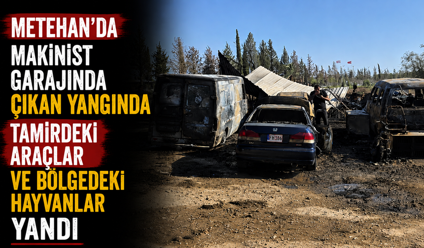 Metehan'da makinist garajında çıkan yangında tamirdeki araçlar ve bölgedeki hayvanlar yandı