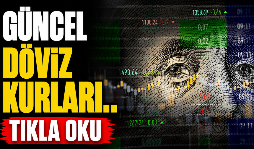 Döviz kurları…