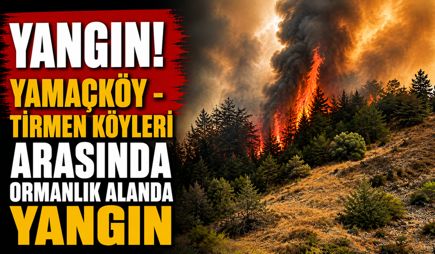 Yamaçköy - Tirmen köyleri arasında ormanlık alanda yangın...