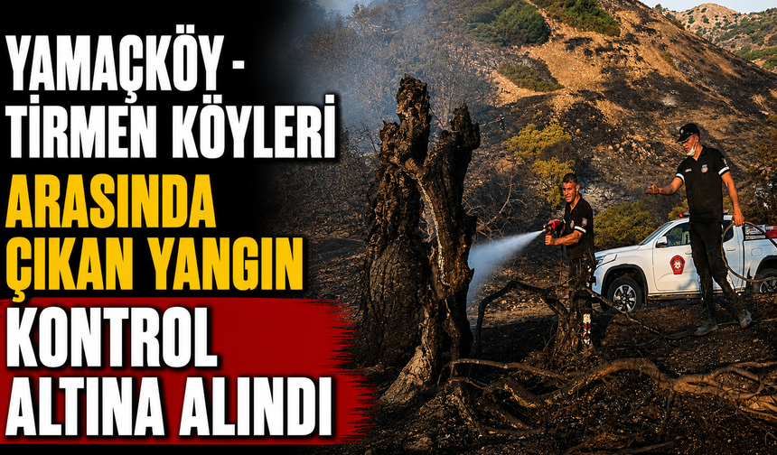 Yamaçköy - Tirmen Köyleri arasında çıkan yangın kontrol altına alındı