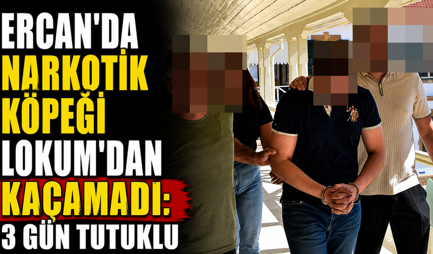 Ercan’da Narkotik Köpeği Lokum’dan Kaçamadı: 3 Gün Tutuklu