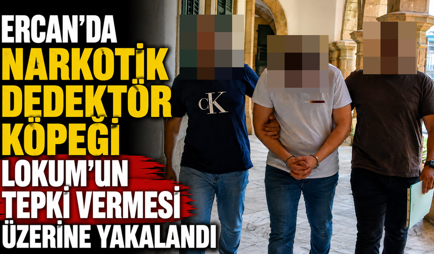 Ercan’da narkotik dedektör köpeği lokum’un tepki vermesi üzerine yakalandı