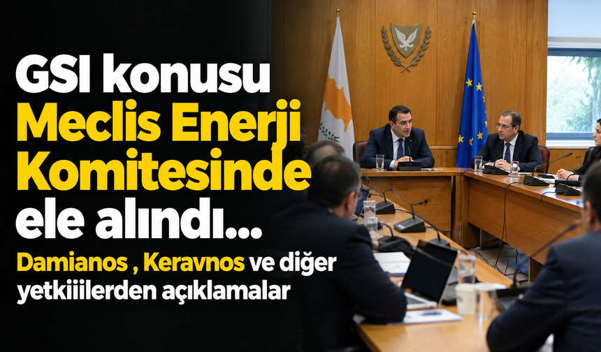 GSI konusu Meclis Enerji Komitesinde ele alındı...Damianos , Keravnos ve diğer yetkililerden açıklamalar