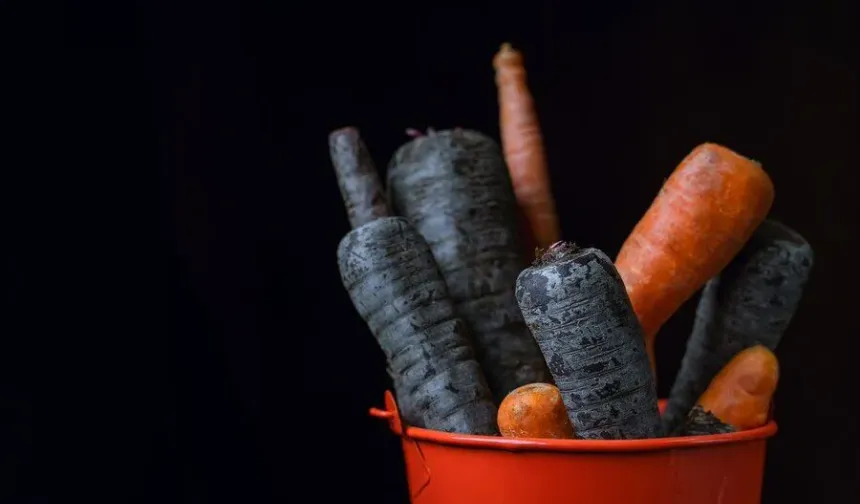 Siyah havuçlu şalgam suyundan izole edilen bakterinin kanser hücrelerini azalttığı belirlendi