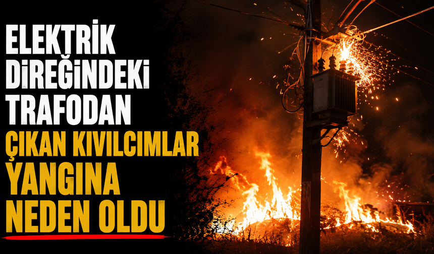 Elektrik direğindeki trafodan çıkan kıvılcımlar yangına neden oldu