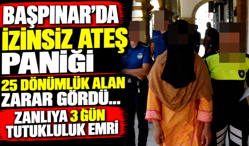 Başpınar’da izinsiz ateş paniği: 25 dönümlük alan zarar gördü… Zanlıya 3 gün tutukluluk emri