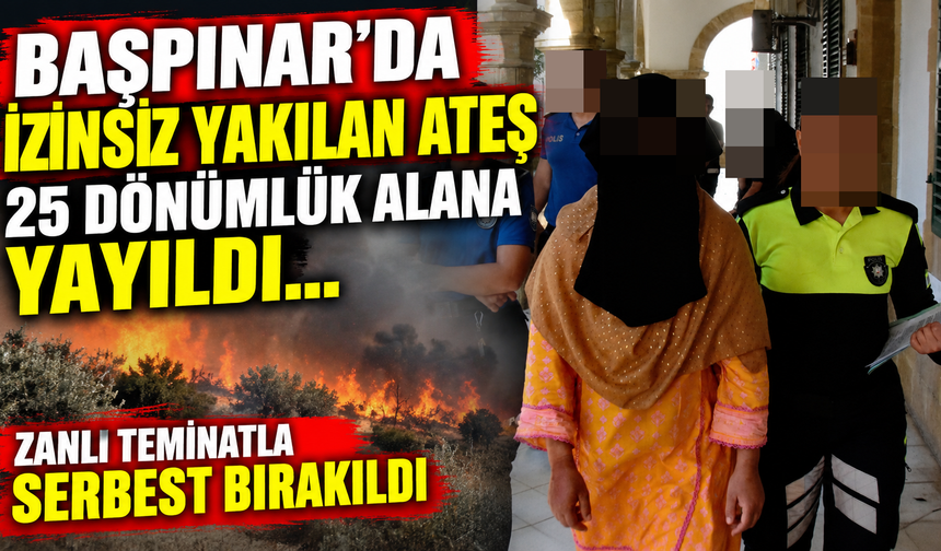 Başpınar’da izinsiz yakılan ateş 25 dönümlük alana yayıldı… Zanlı teminatla serbest bırakıldı