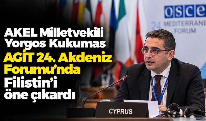 AKEL Milletvekili Yorgos Kukumas AGİT 24. Akdeniz Forumu’nda Filistin’i öne çıkardı
