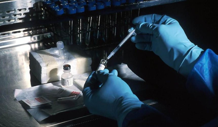 Bilim dünyasında bir ilk: İnsan DNA'sı vücudun içinde düzenlendi