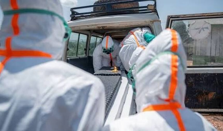 Kenya'da ilk Ebola vakası doğrulandı