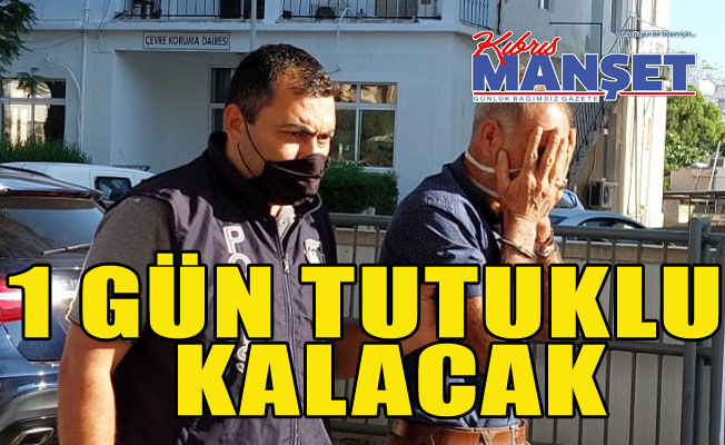 Annesi uyurken sikti