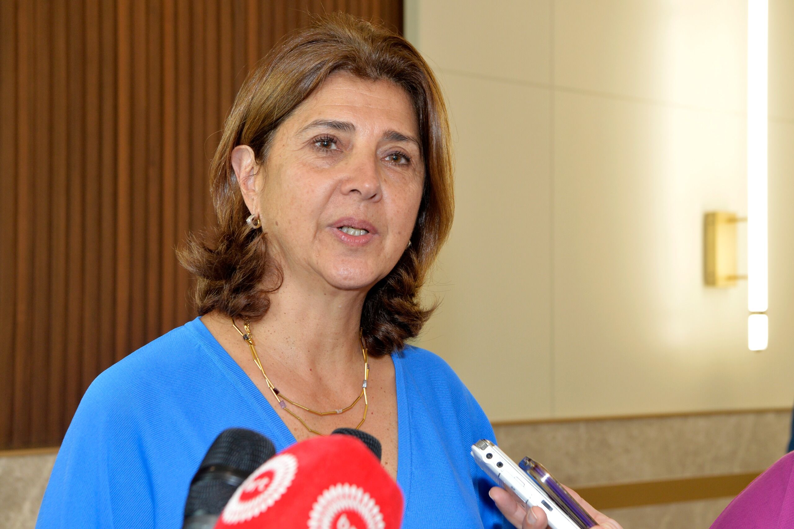 BMGS’nin Kıbrıs Kişisel Temsilcisi Holguin’den New York’taki görüşmelere ilişkin açıklama